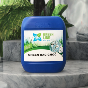 Green Bac Choc Fût 25L