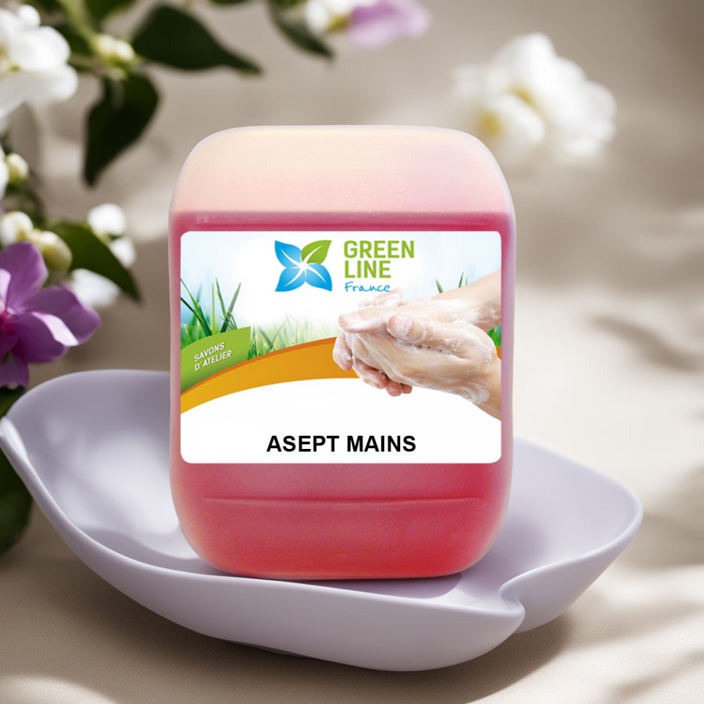 ASEPT MAINS 5L – GEL NETTOYANT POUR LES MAINS ANTIBACTERIEN